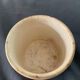 Old ceramic pot Maling Newcastle