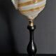Cabinet of Curiosities shell tonna sulcosa on pedestal