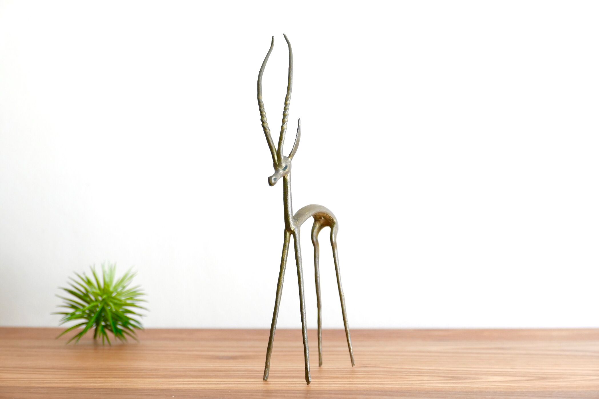 Gazelle brass, 50 years