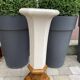 Column wears vintage plant
