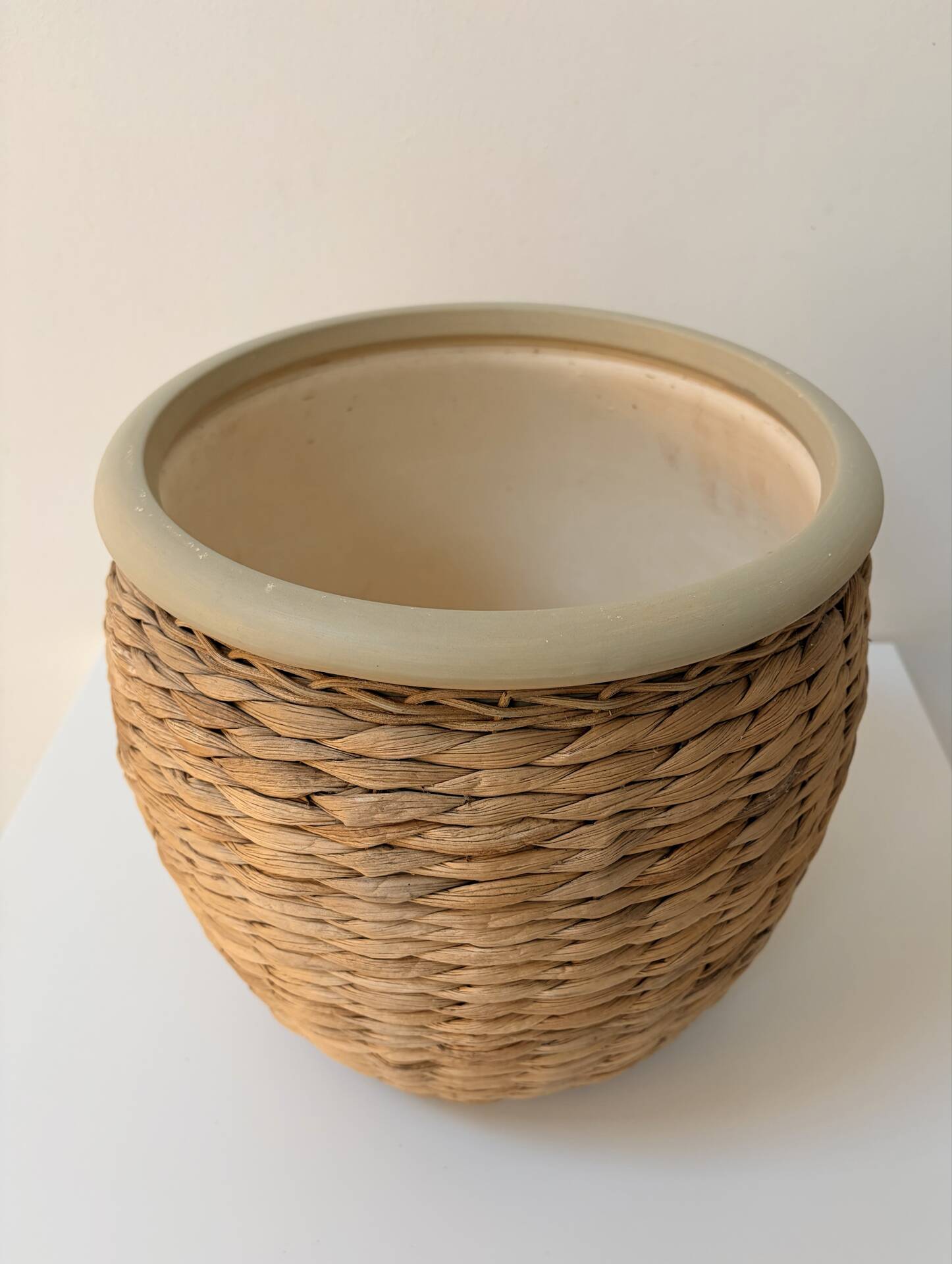 Cache-pot ancien en céramique et jacinthe d’eau