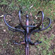 Parrot rack Thonet