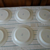 Flat vegetable plates arcopal france l2