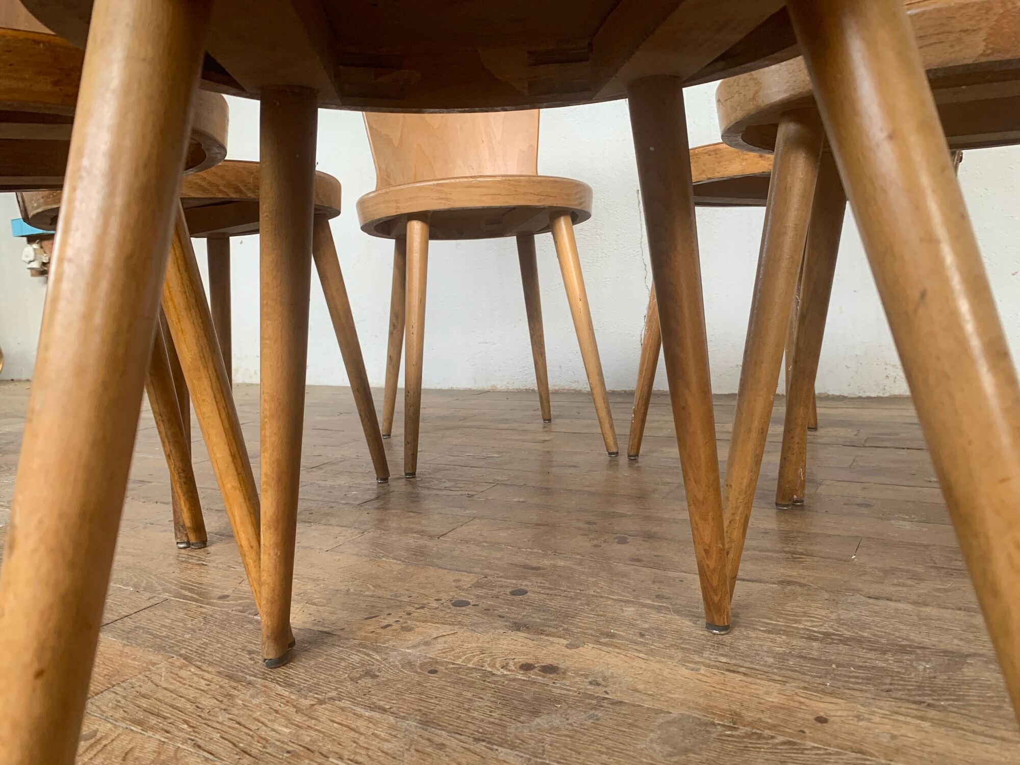 Series of 6 chairs bistro Baumann model Dove year 1950/1960