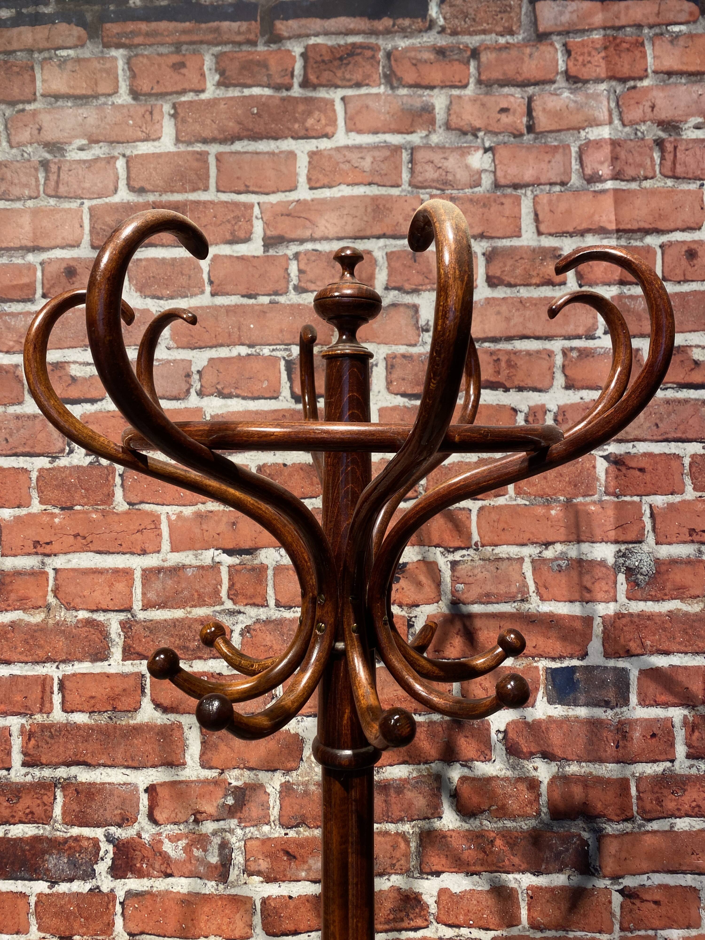 Wooden parrot coat rack