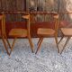 Chaises Stella antilope