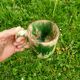 Set of Cups
