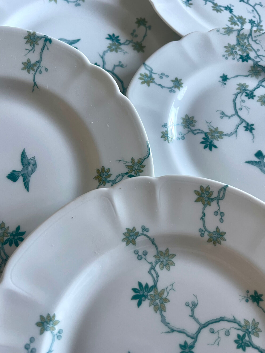 12 Haviland Limoges dessert plates.