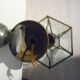 Brass lantern with 6 beveled glasses