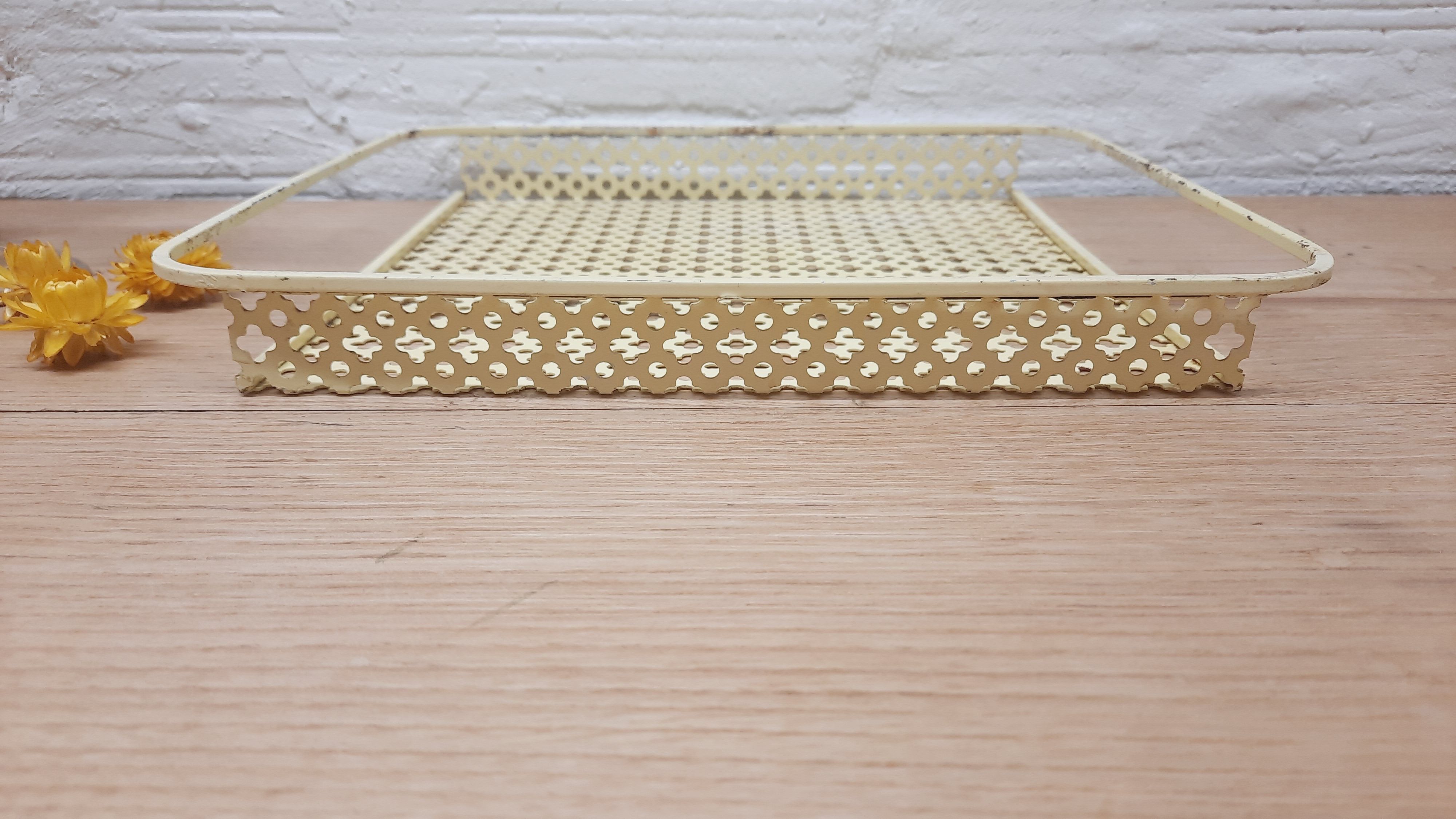 Mathieu Mategot tray