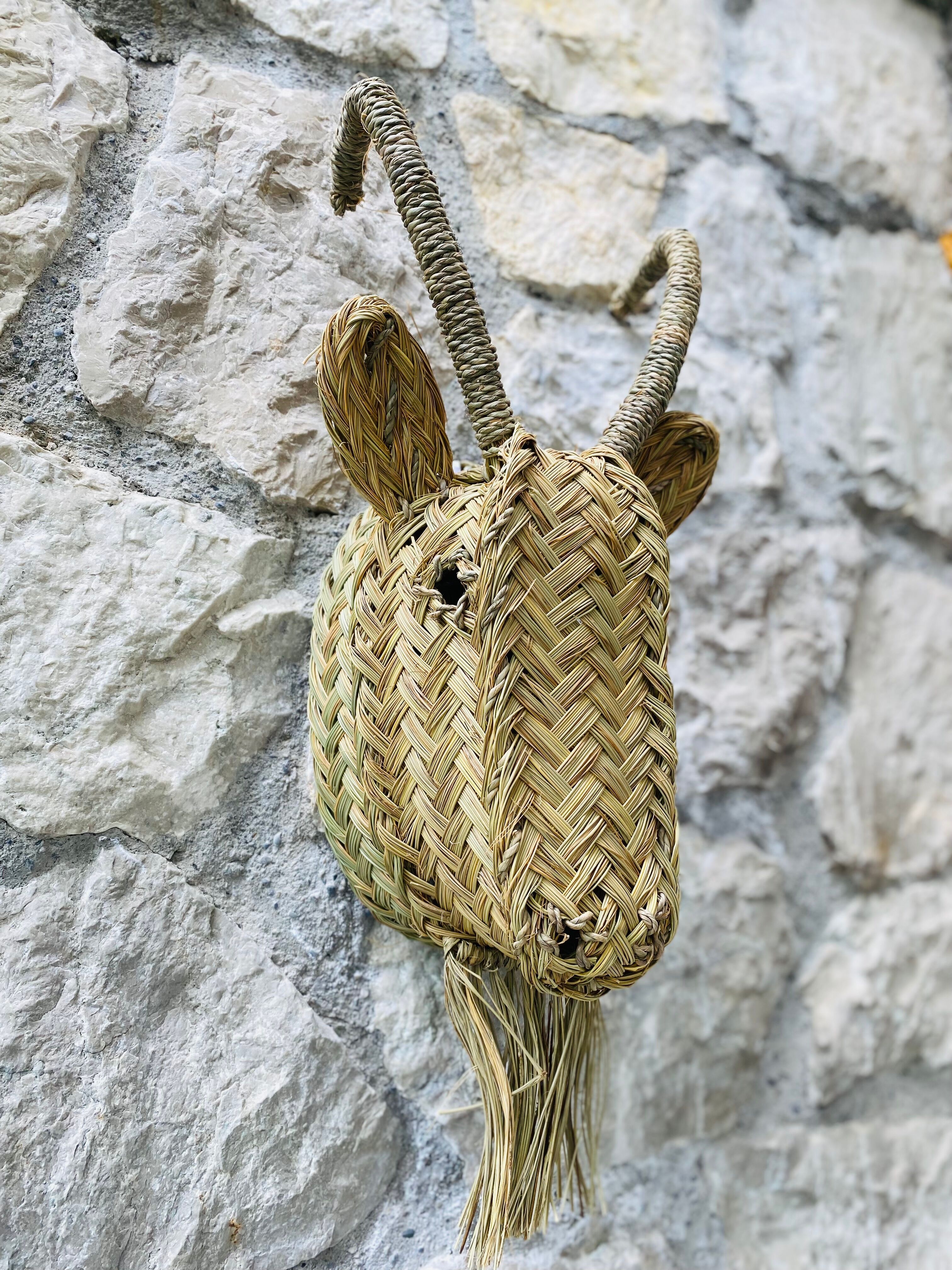 Trophy animal head in palm leaves - Buffalo