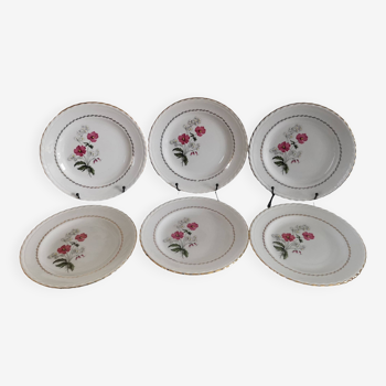 6 Old Earthenware Flat Plates L'Amandinoise Model "Fleurettes"