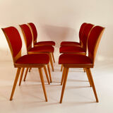 6 MAX BILL chairs by BAUMANN 800 series