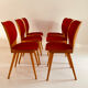 6 MAX BILL chairs by BAUMANN 800 series