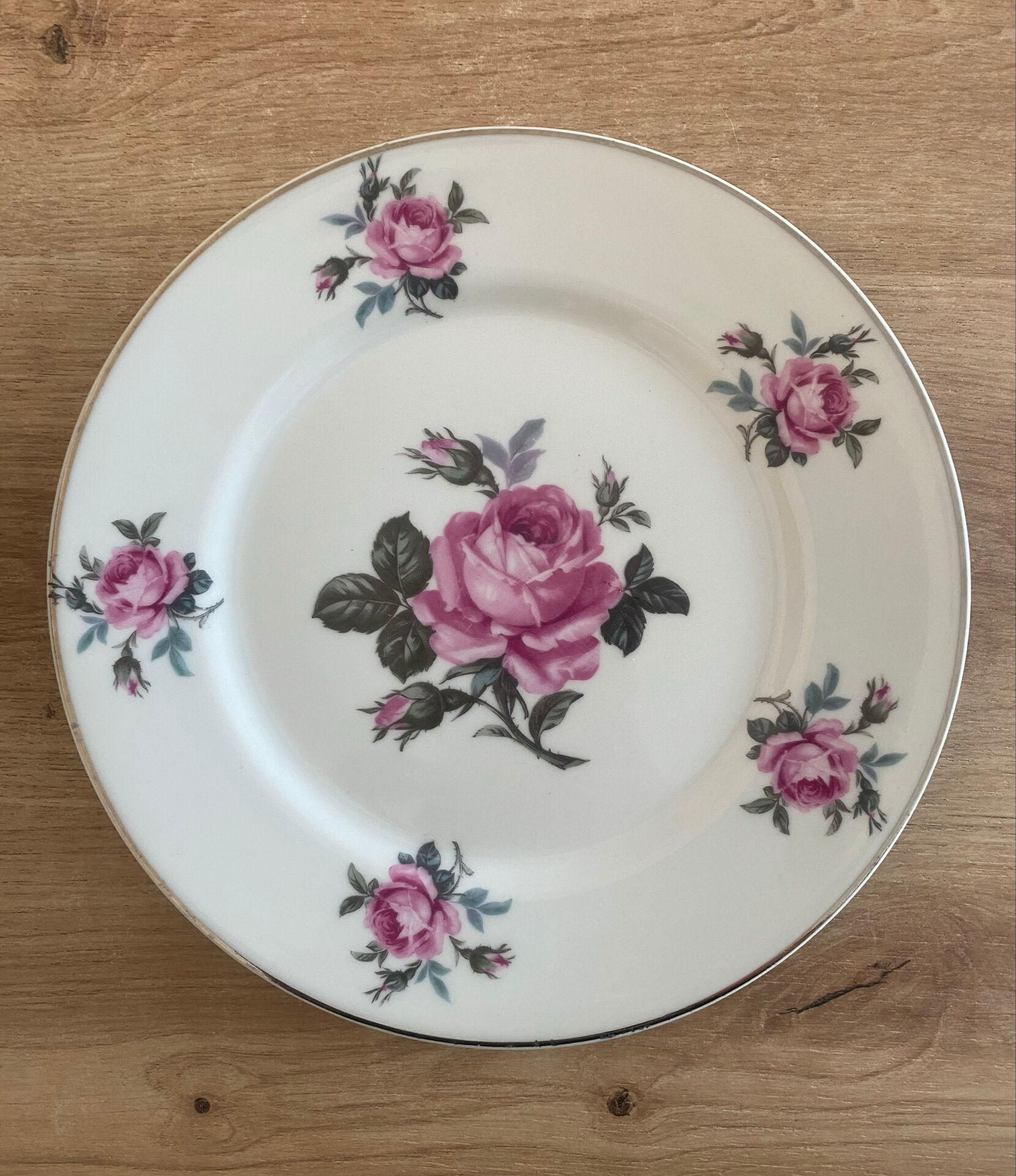 Set of 6 Limoges porcelain plates by Michelaud Frères – decorative f