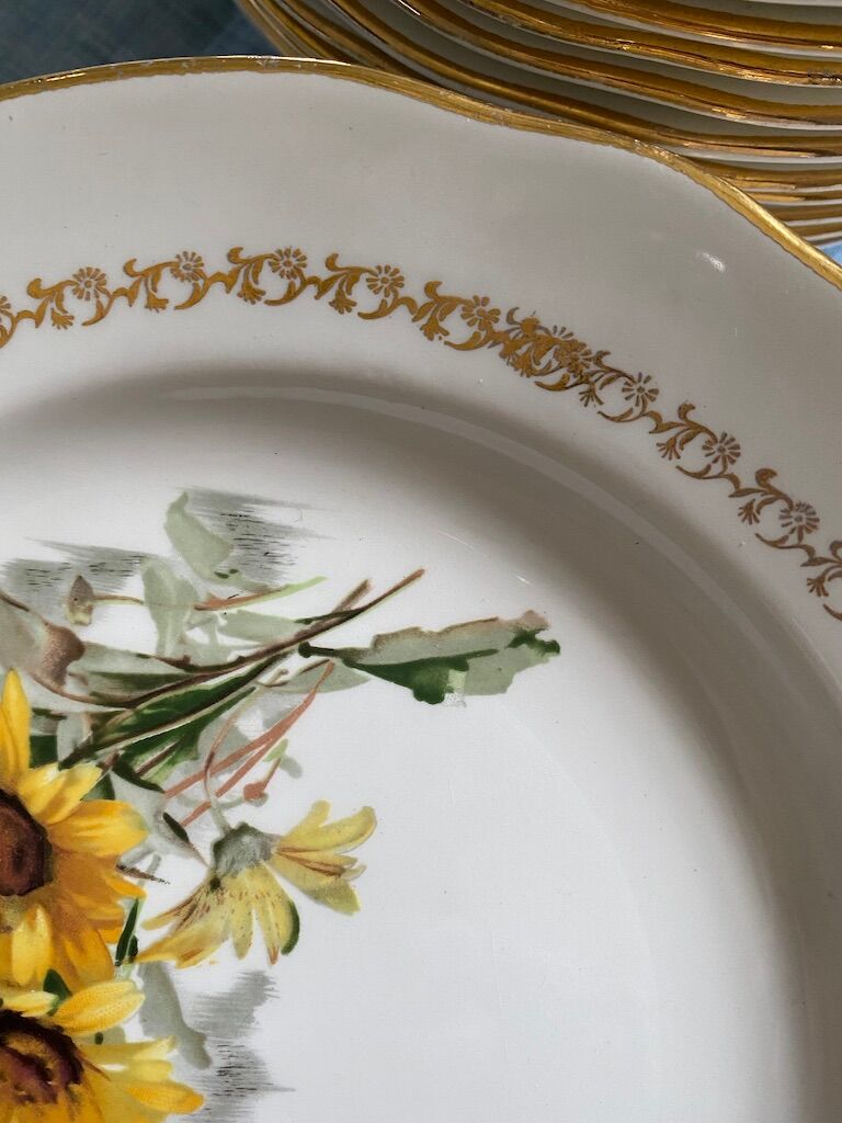 Lot of plates flat and hollow 10-10. "Margurites" by Gien. 1960s-70s.