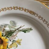 Lot of plates flat and hollow 10-10. "Margurites" by Gien. 1960s-70s.