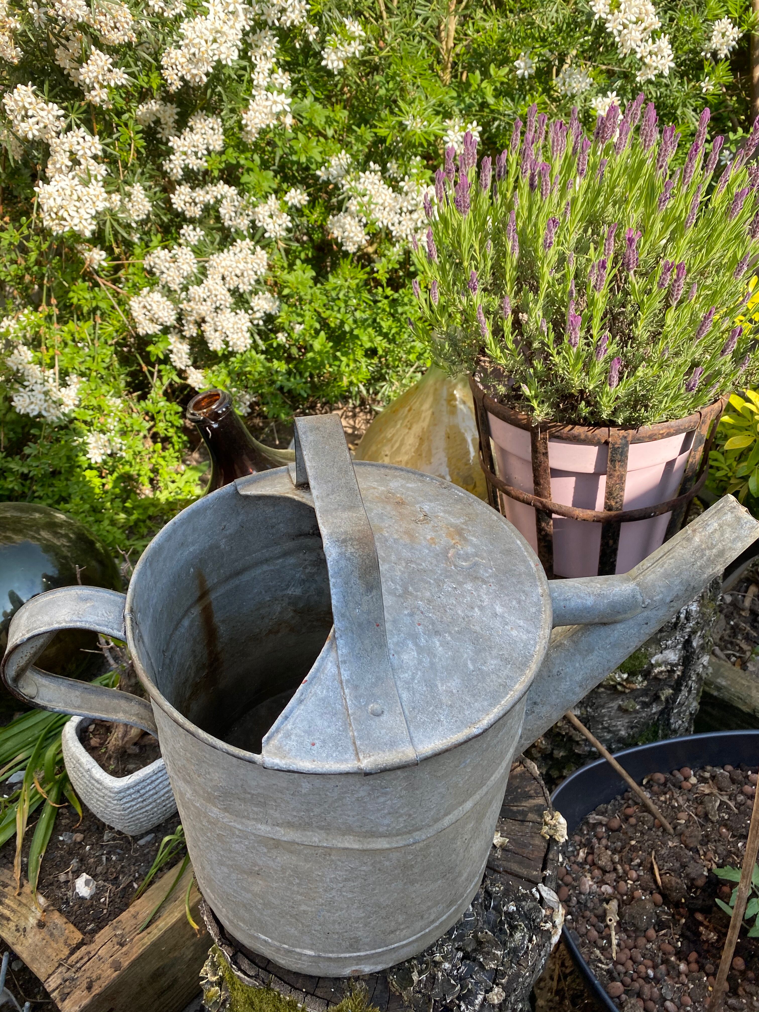 Old zinc watering can