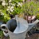 Old zinc watering can