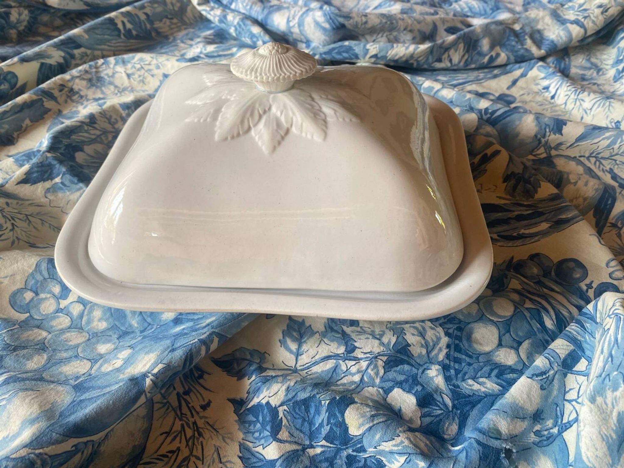 Large antique Villeroy and Boch porcelain dome dish