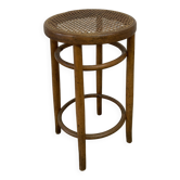Fischel cane stool