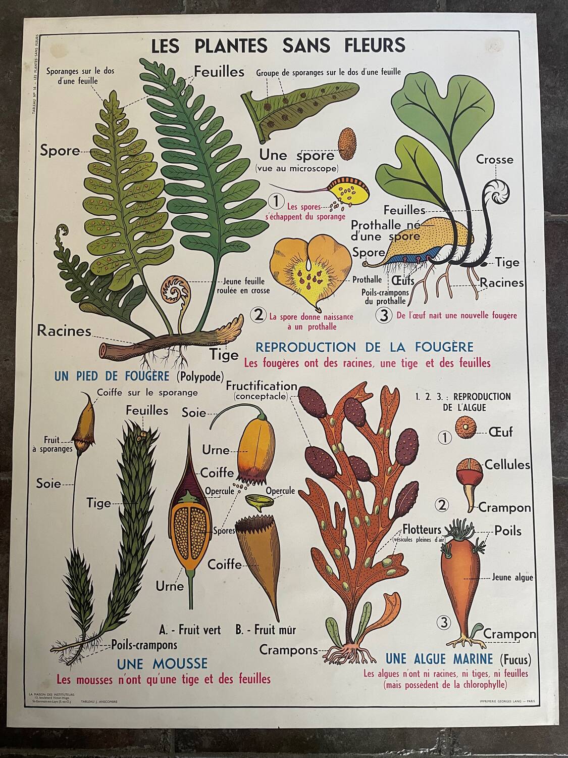 Ancienne affiche pédagogique scolaire, école