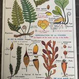 Old school educational poster, school