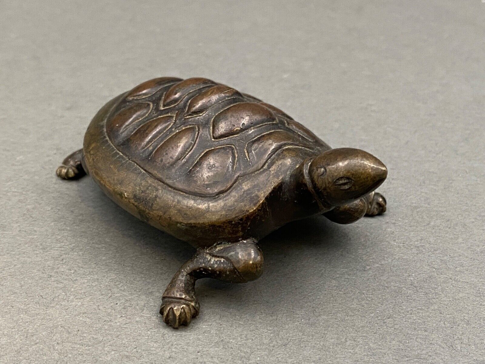 Bronze turtle XIXth Chocolate patina Fine carving