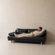 Rolf Benz 355 – 3-seater sofa in anthracite grey leather, German design.