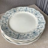 Ridgways 19th century English ironstone plates