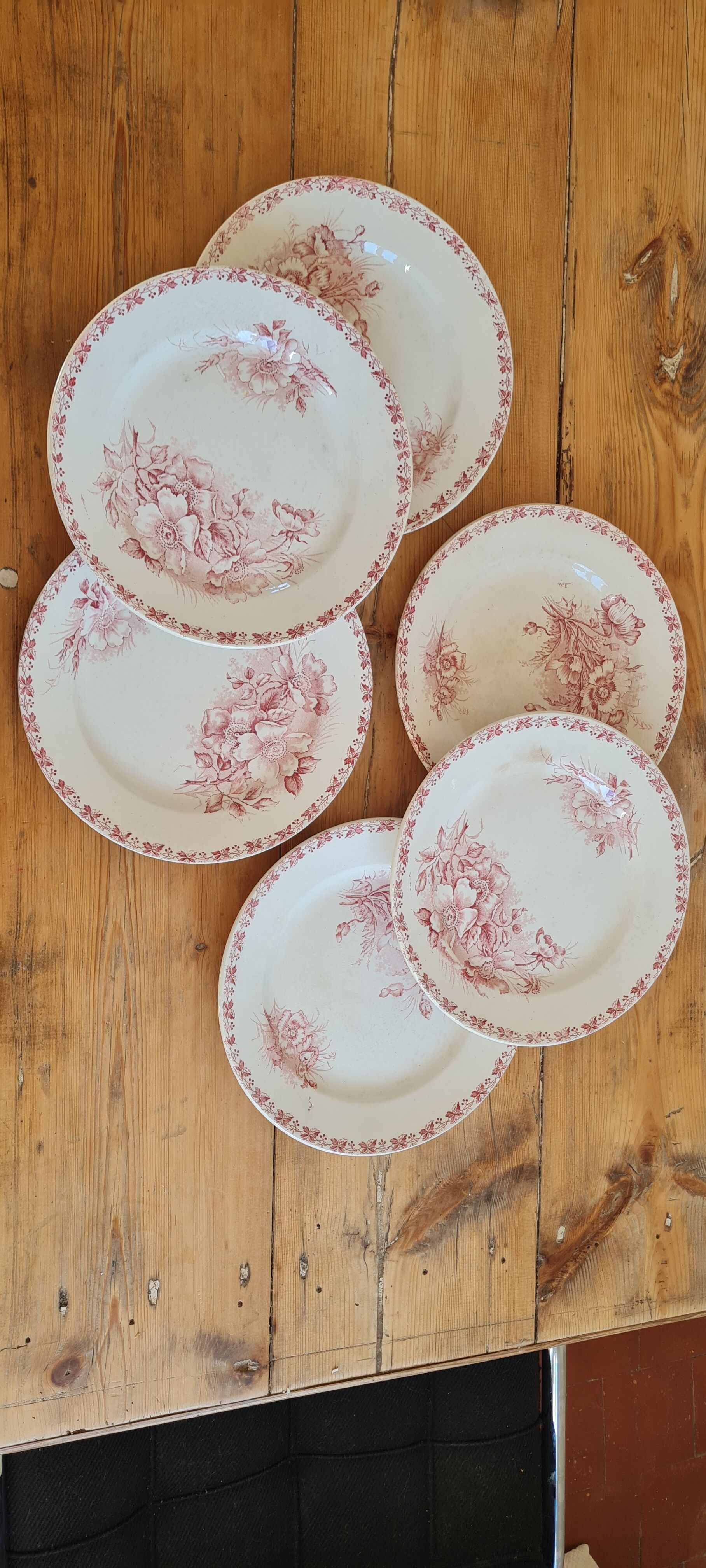 Serving of 6 plates in iron earth