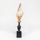 Sea snail shell Fasciolaria Trapezium on a turned wooden base