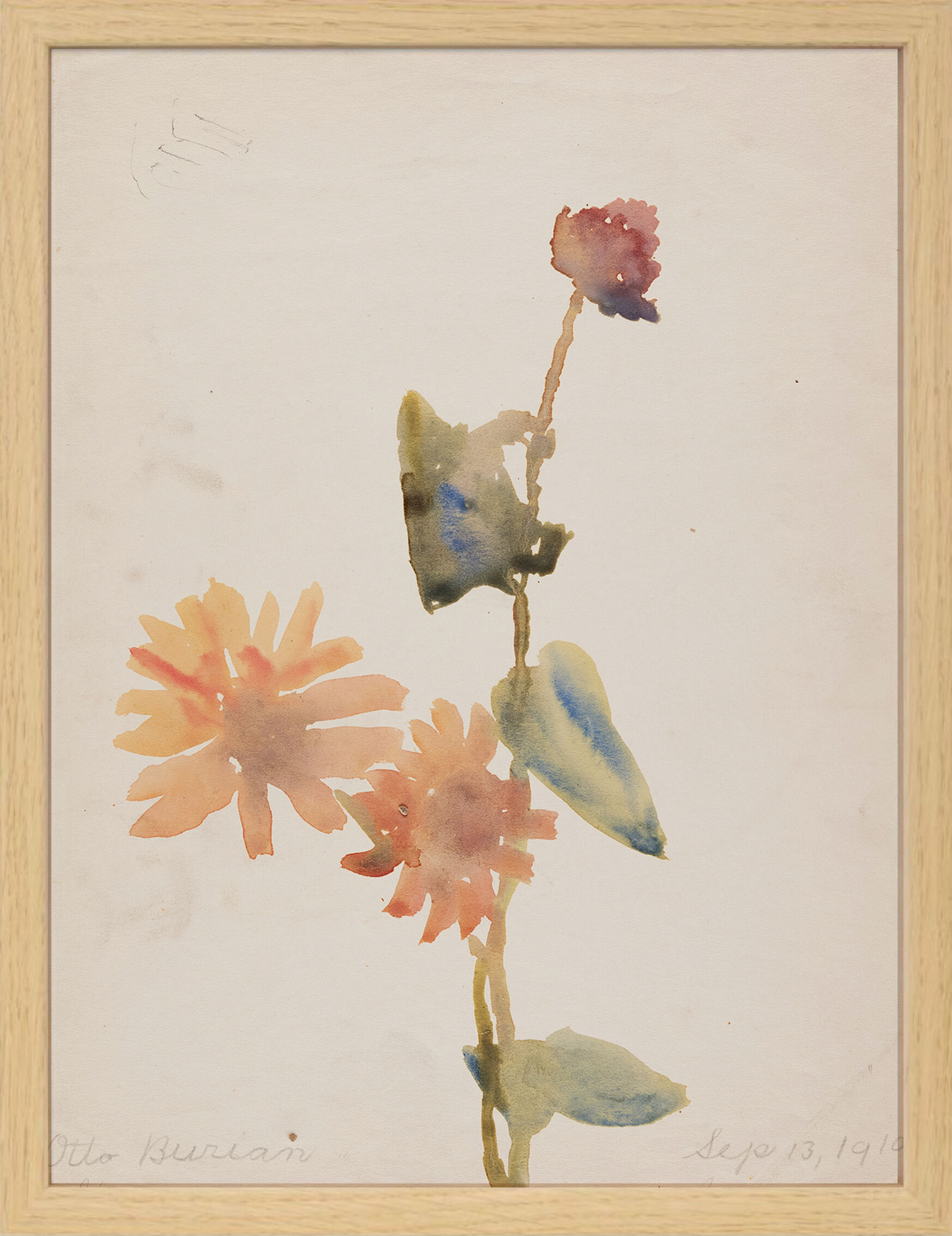 Watercolor illustration flowers