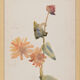 Watercolor illustration flowers