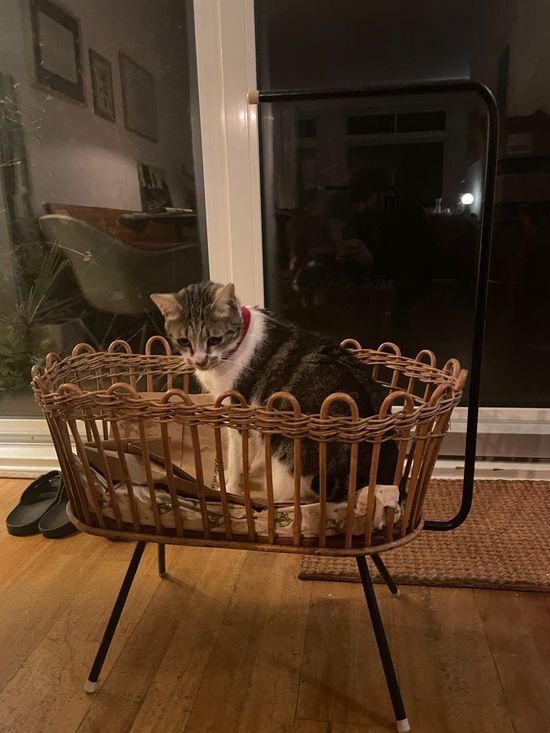 Vintage rattan doll cradle
