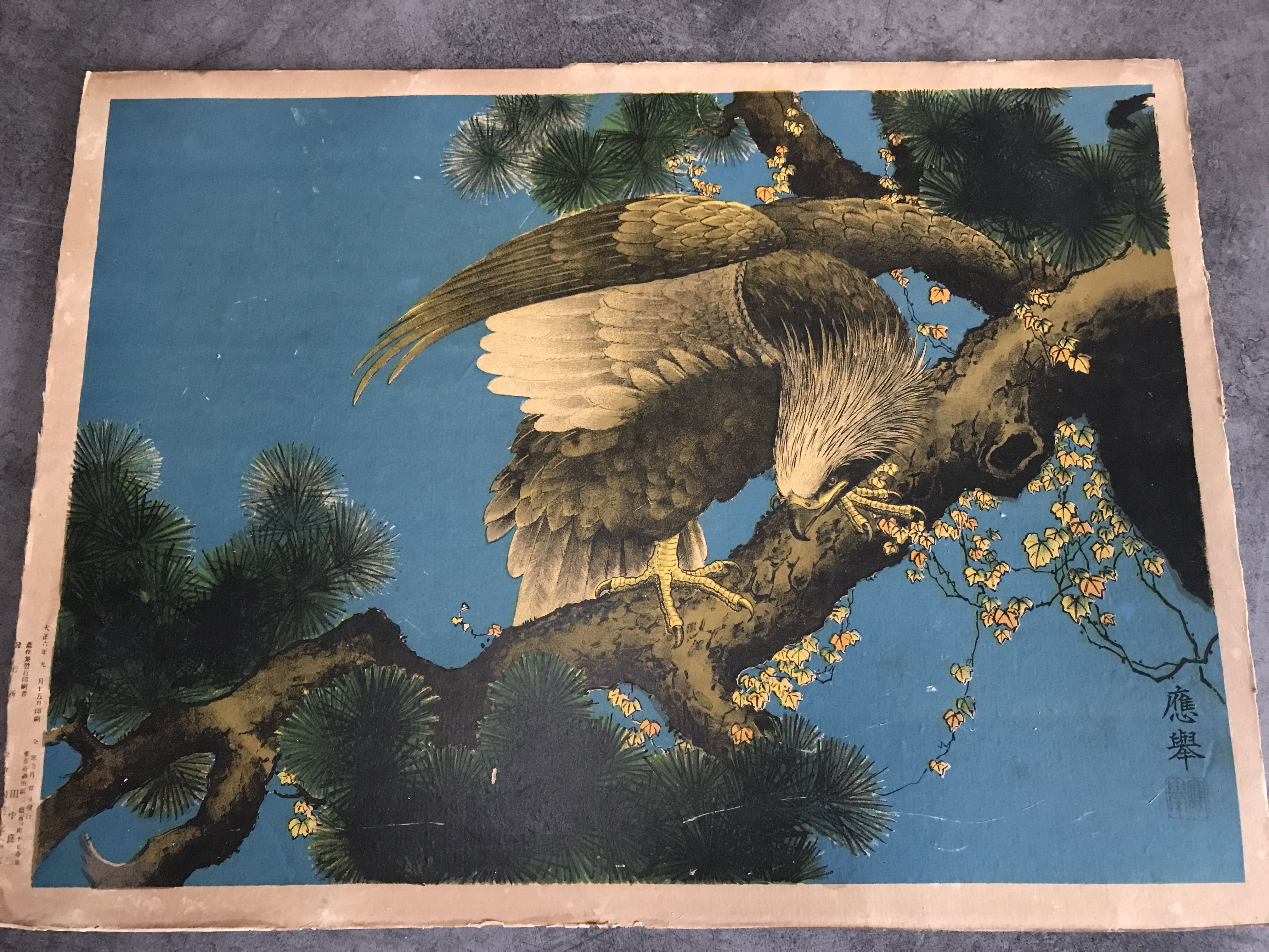 Old estampe of asia with polychrome decoration of eagle on a branch xixth