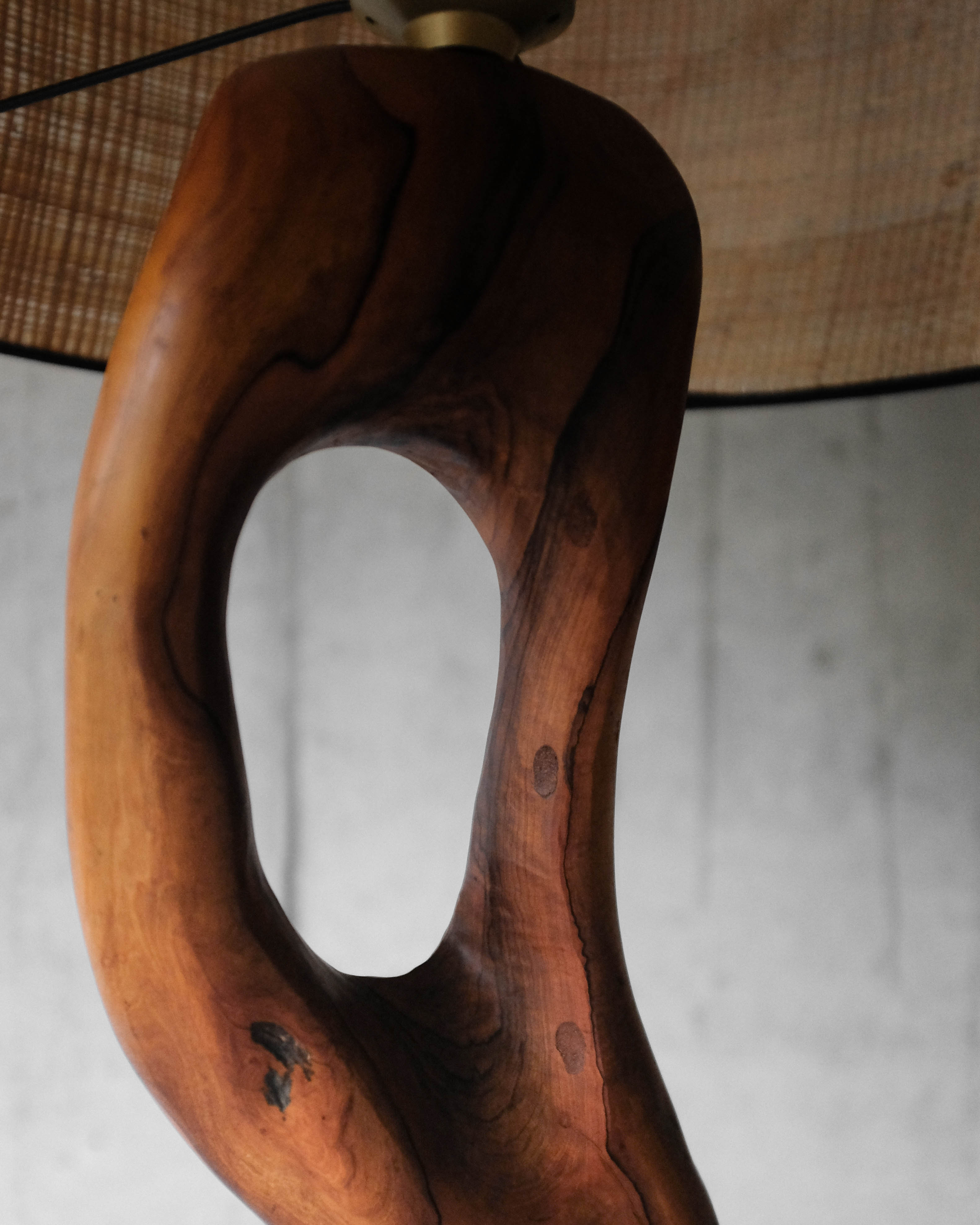 Massive olive tree lamppost - 1960