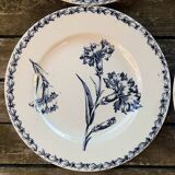 6 assiettes terre de fer