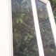 Old translucent glass communication door 82.5x214.2cm