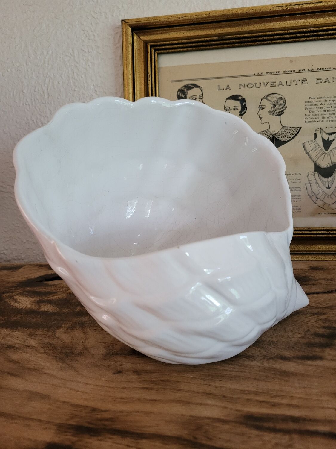 Shell pot holder