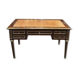 Louis XVI style office