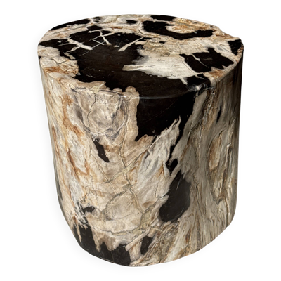 Table d'appoint en bois pétrifié dominante blanche et beige tache noires