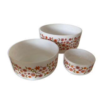 Vintage Arcopal salad bowls