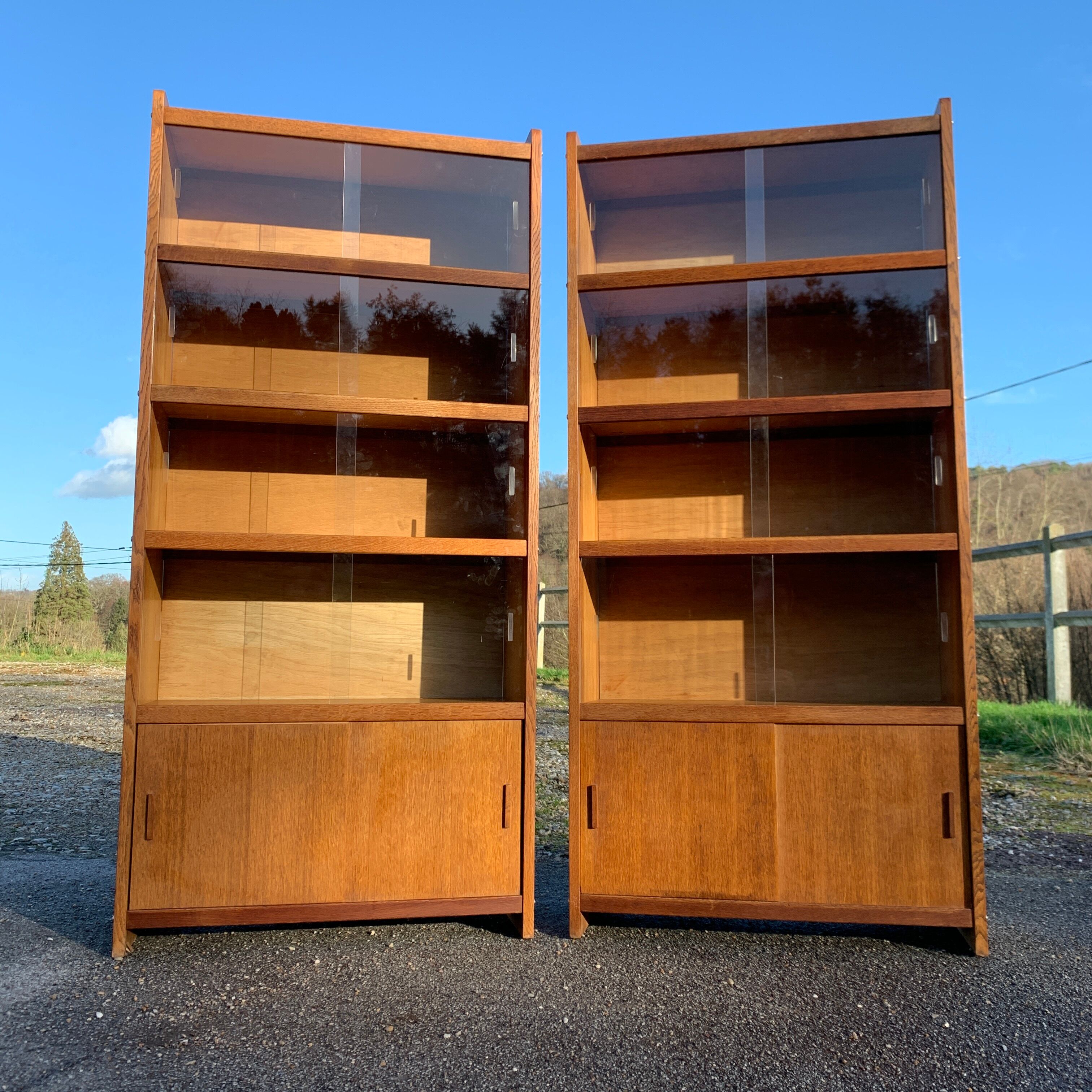 Pair of vintage glass shelves libraries