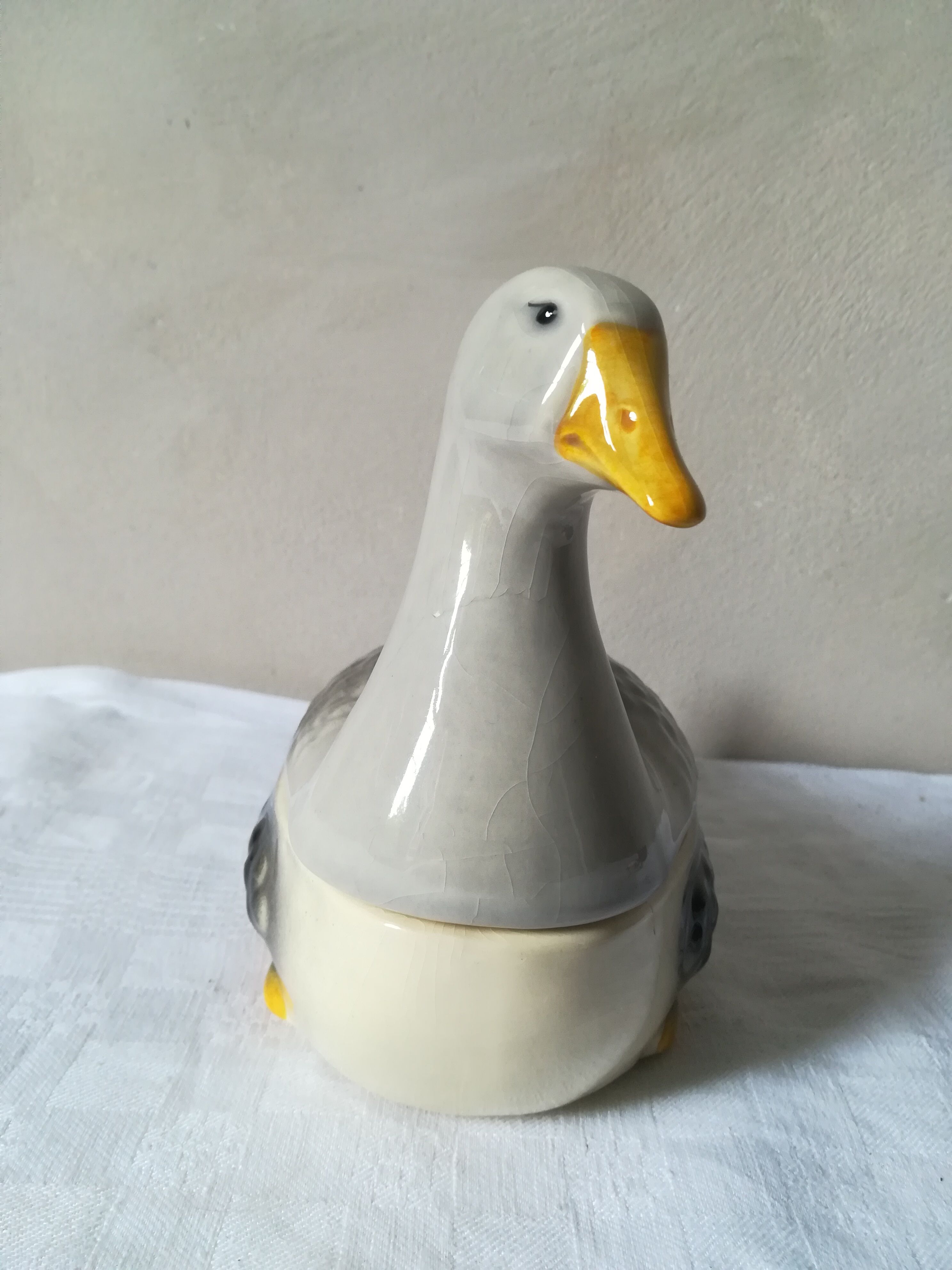 Dish in dabbling with goose