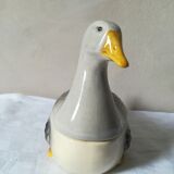 Dish in dabbling with goose