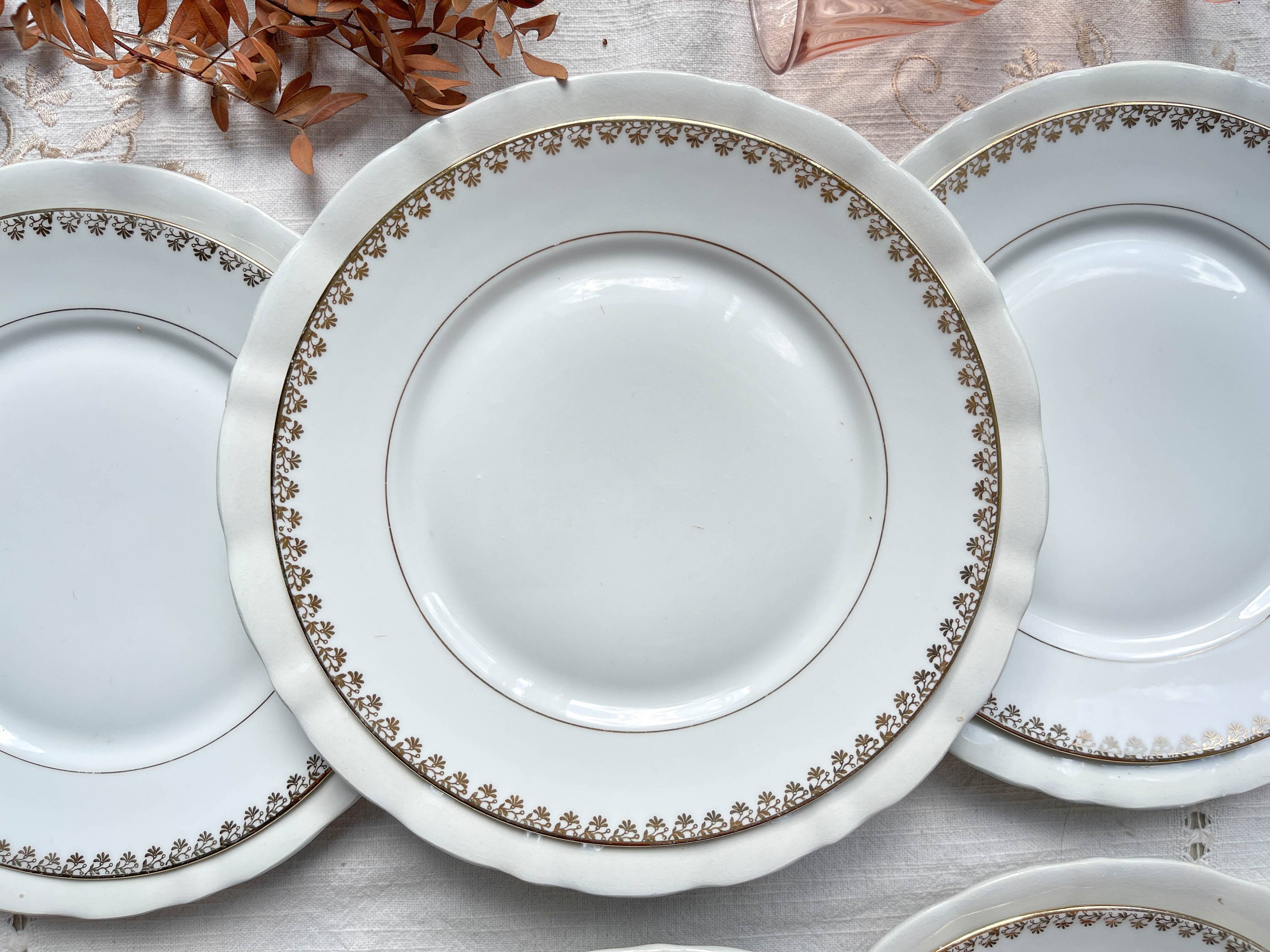 12 Vintage Terre de Fer White Plates + Small Gold White Porcelain Plates LIMOGES