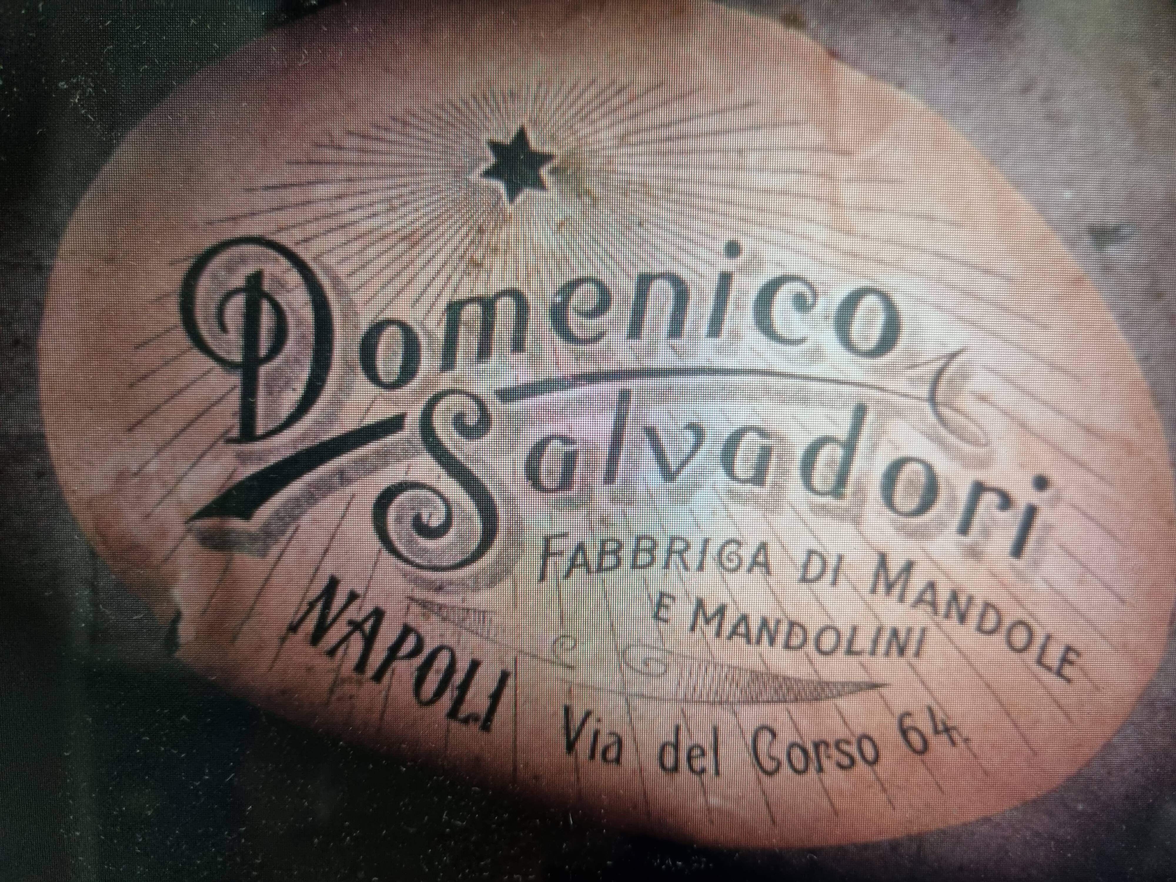 Mandolin Domenico Salvadori Napoli antico