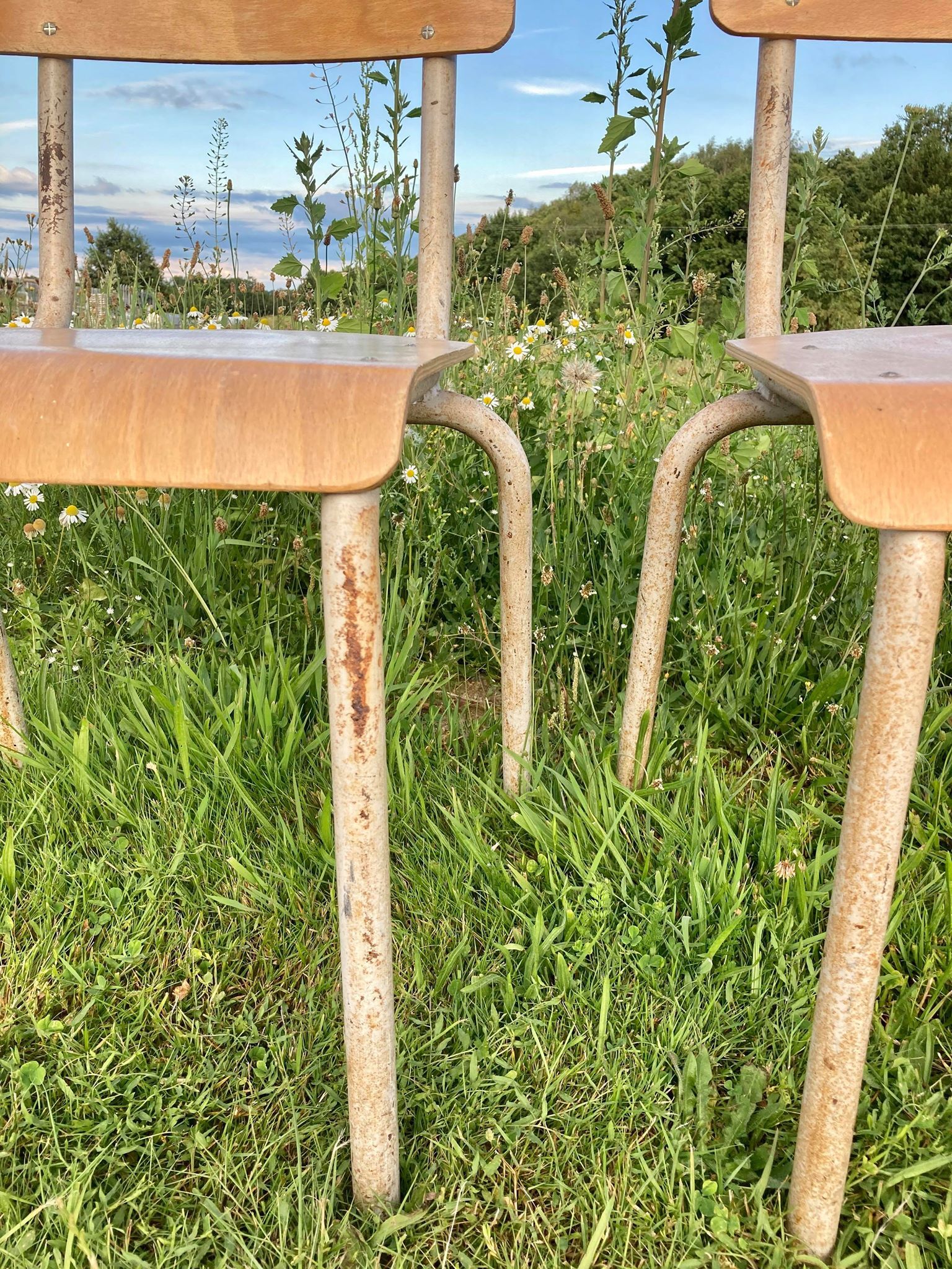 Lot of school chairs