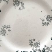 4 dessert plates ironstone "Liserons" Choisy le Roi